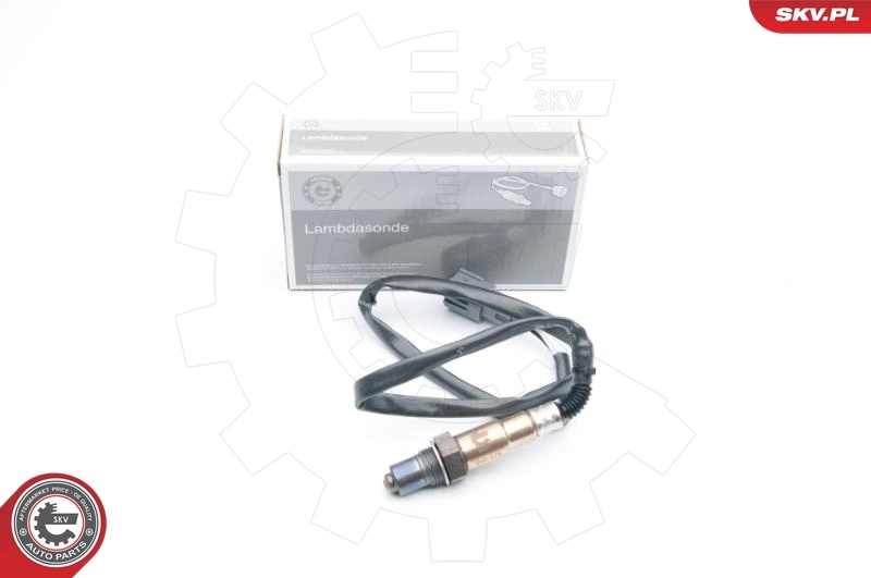 Oxygen Sensor